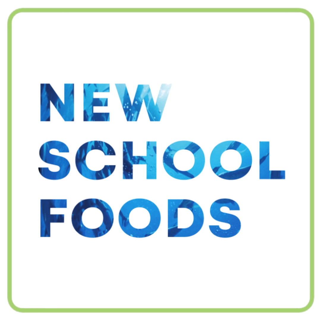 Logo for New School Foods, featuring blue textured text on a white background.