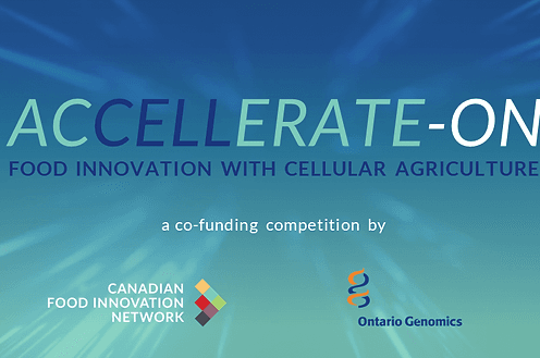 Investing in the future of food with $900k+ in funding for cellular agriculture