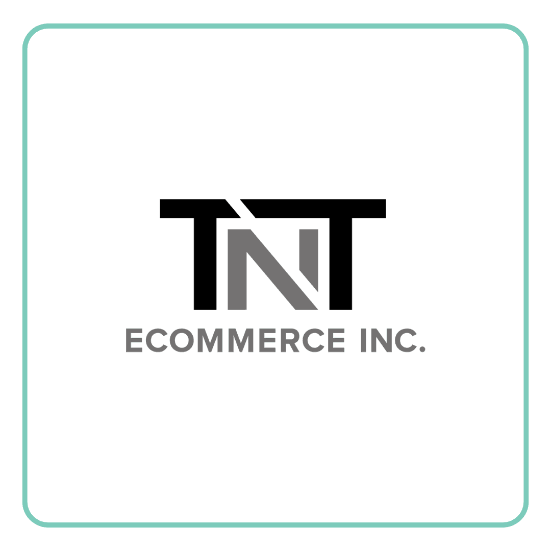 Logo for TNT Ecommerce Inc., featuring stylized black and grey text on a white background.