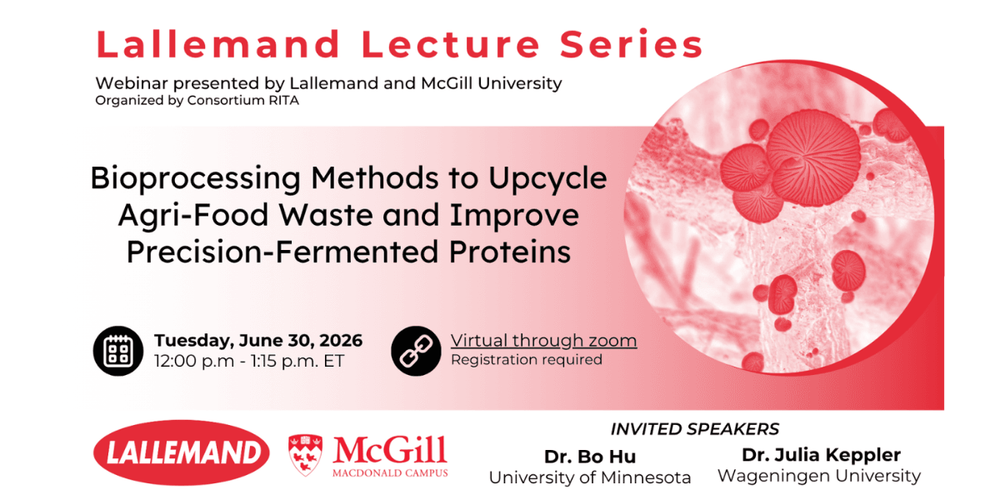 Bioprocessing Methods to Upcyle Agri-Food Waste and Improve Precision-Fermented Proteins
