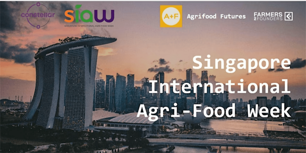 SIAW Pre-Event Webinar