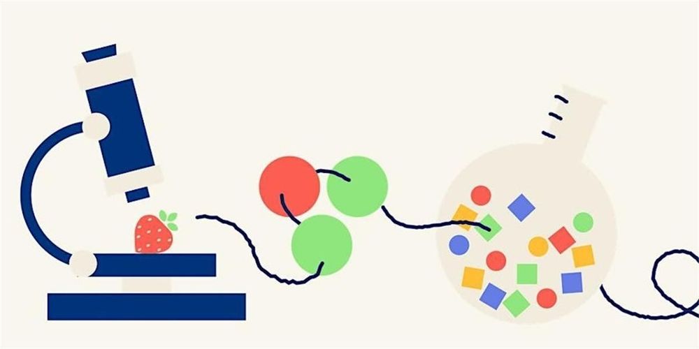 Plant-Based Food Extrusion and Processing Workshop 2024