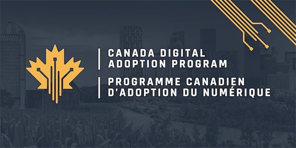 Canada Digital Adoption Program Info Session