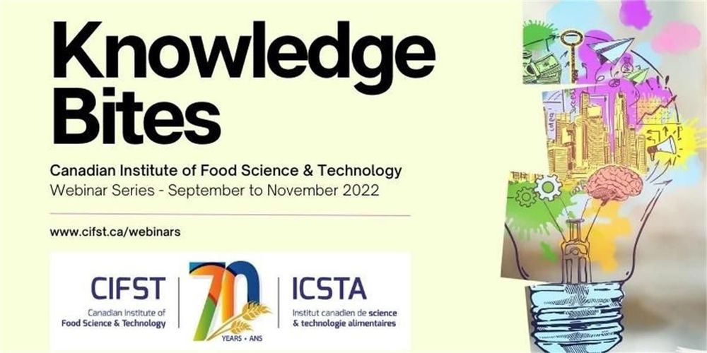 CIFST – Webinaire : pourquoi les entreprises devraient réduire les déchets d'emballage de leurs chaînes d'approvisionnement