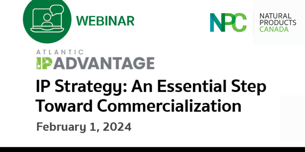 IP Strategy: An Essential Step Toward Commercialization