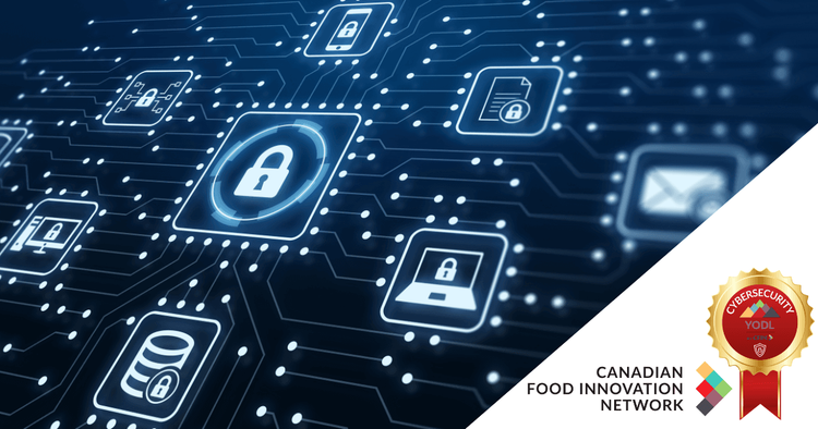 Why CFIN is Creating Cybersecurity Content on YODL
