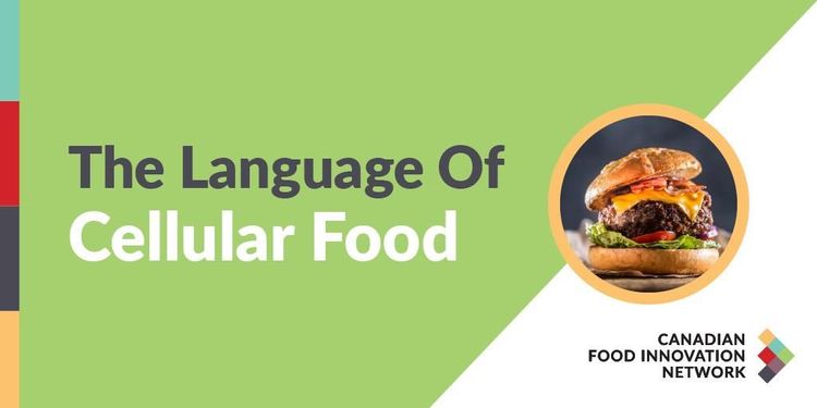 Le langage des… aliments cellulaires