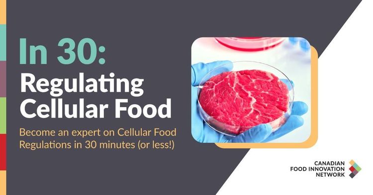 In 30: Regulating Cellular Food