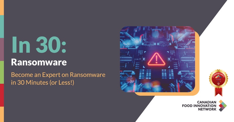 In 30: Ransomware