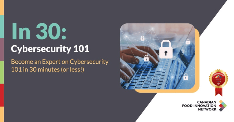 In 30: Cybersecurity 101