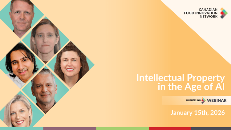 Catch Up: Intellectual Property in the Age of AI