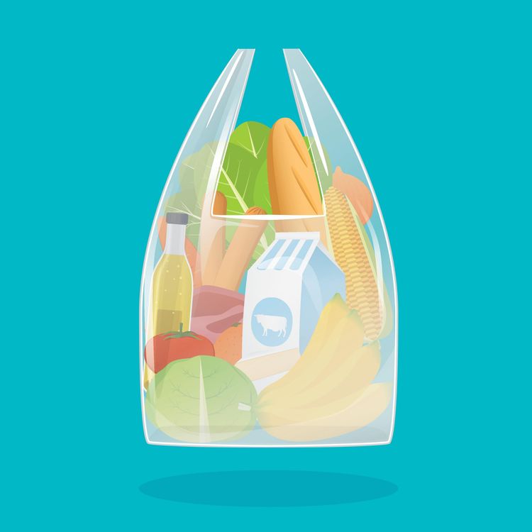 EXPLICATION : plastiques compostables et biodégradables