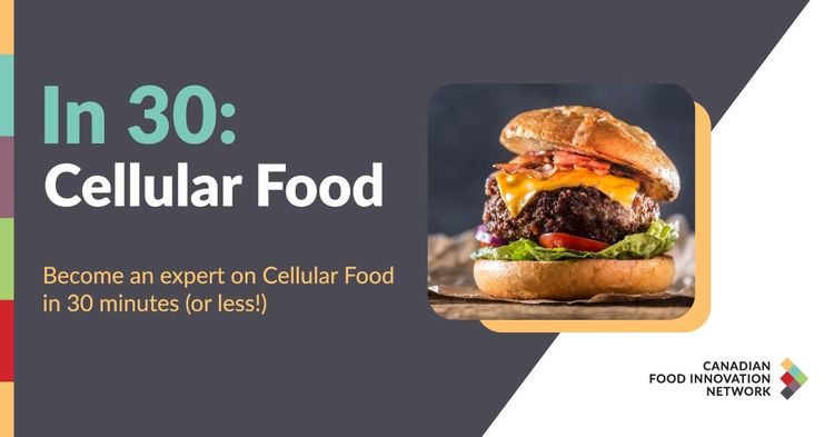En 30 minutes : aliments cellulaires