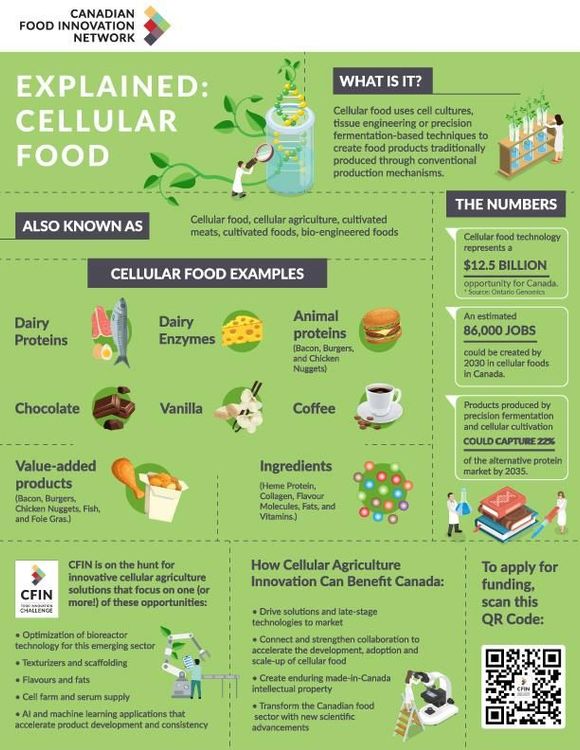 INFOGRAPHIE : Introduction aux aliments cellulaires
