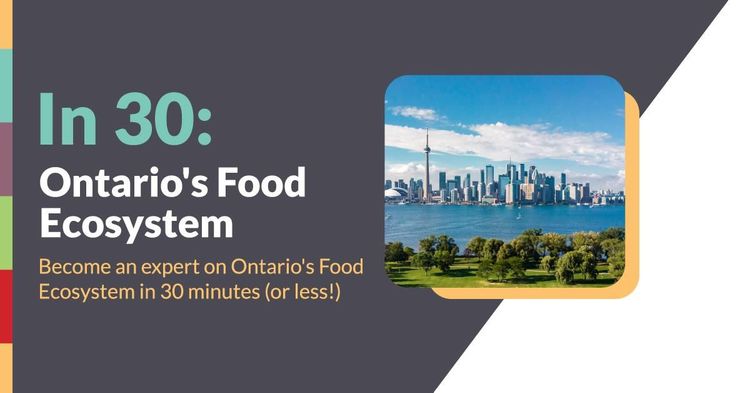 IN 30 : l’écosystème alimentaire de l’Ontario