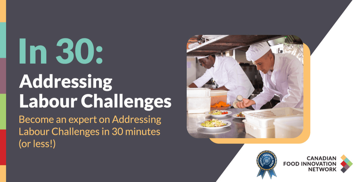 In 30: Addressing Labour Challenges