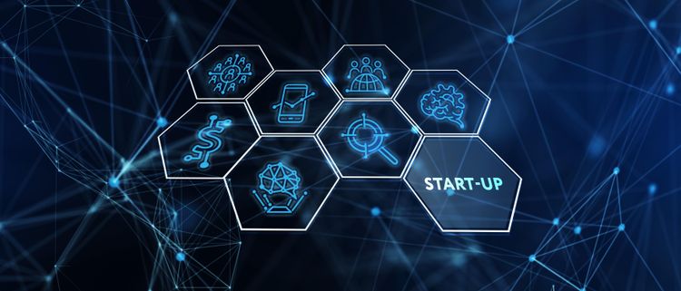 Projets financés par le CFIN – Profils d’entreprises