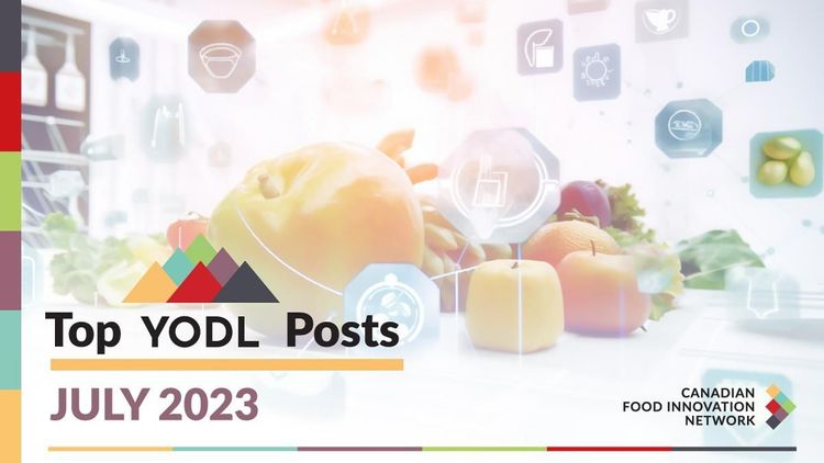 Ce que les YODLers disent et lisent – Le contenu YODL le plus populaire de juillet 2023