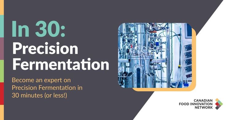 En 30 minutes : fermentation de précision