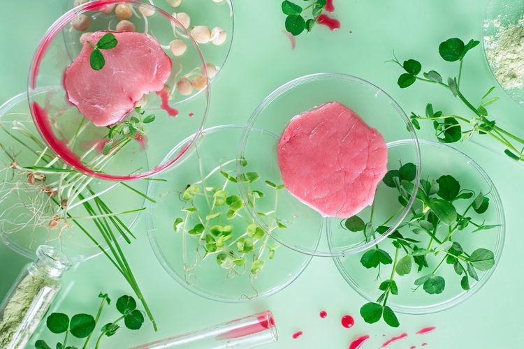 Cellular Food in Canada