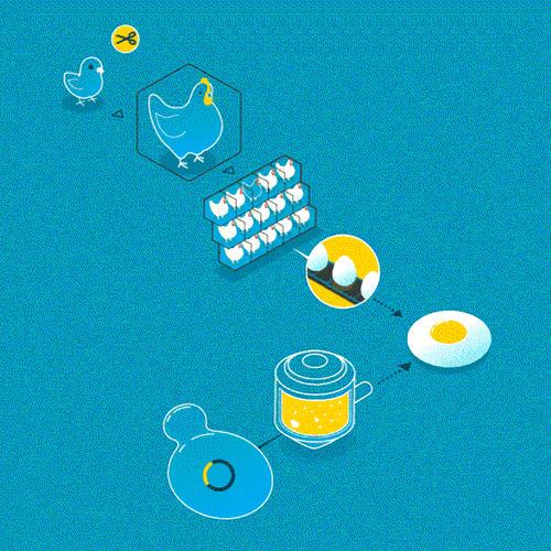 Récapitulatif des articles sur les aliments cellulaires